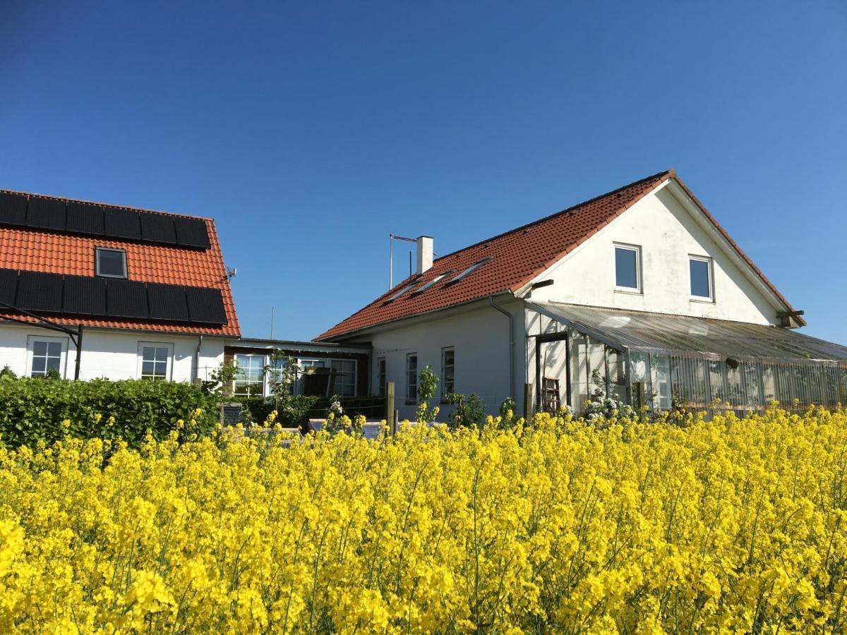 Margretelyst Bed & Breakfast Farsø Екстериор снимка